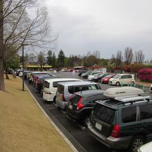 公園と併設しており駐車場は混雑