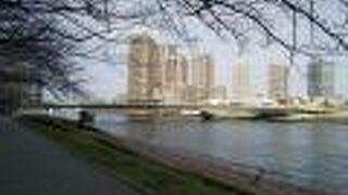 大きな橋です。