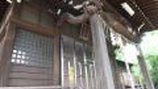 江戸時代に彫られた龍の彫刻