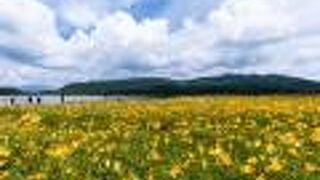 ニッコウキスゲの時期は格段に素晴らしい