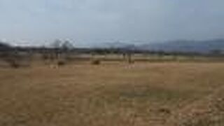 吉野ヶ里遺跡の芝生広場