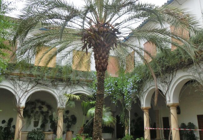 コルドバのパティオ博物館