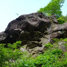 ハチの巣状風化岩