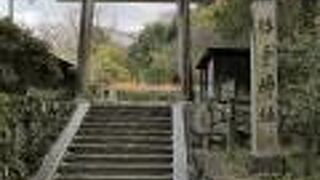 再建されるかな？