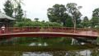 つるの池に架かる美しい橋