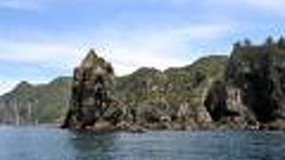 観光船のハイライトの１つです。