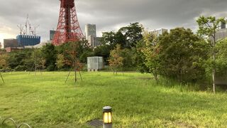 都会の中の緑が良いです