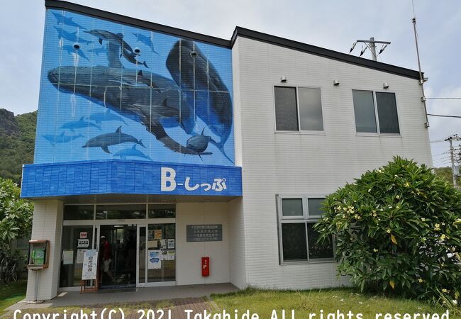 父島のおすすめ観光スポット クチコミ人気ランキングtop20 フォートラベル 東京
