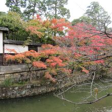 倉敷川に沿って建っています