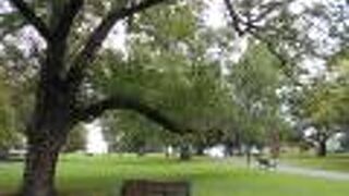 静かで落ち着く綺麗な公園