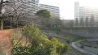 川の激しい流れを緩和するような感じのくぼ地があって