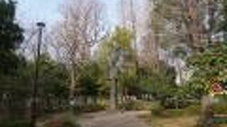 入口は狭いのに細長くて奥が深いです