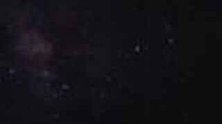 サンセット・スターライト・鯨