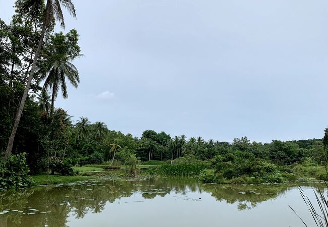 ウビン島