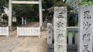 トトロの森に入り込んだ気分