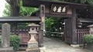 立派な銀杏の木