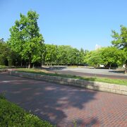 こども文化科学館の前の庭園