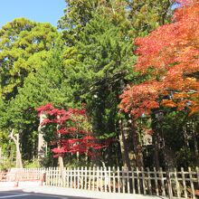 折しも紅葉が綺麗な時期でした