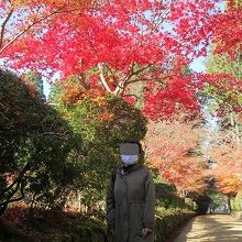 紅葉の時期の朝一が最高ひとときでした