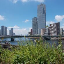 佃公園からの景観です。