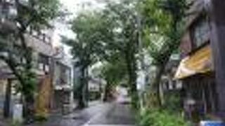 私のイチオシはとん國ですけどね