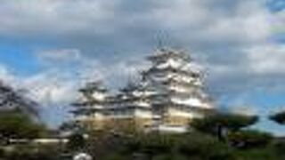 そびえる天守を眺める庭。