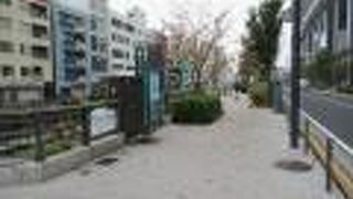 遊歩道が整備されている