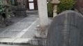 稲荷神社という印象をあまり受けなかった