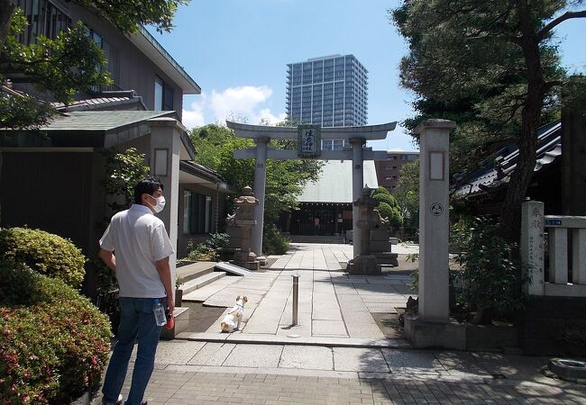 住吉神社 東京都中央区 クチコミ アクセス 営業時間 月島 勝どき フォートラベル 住吉神社 東京都中央区 クチコミ アクセス 営業時間 月島 勝どき フォートラベル