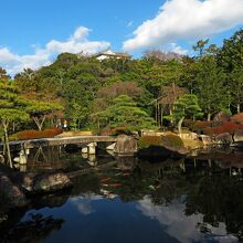 庭園の風景。