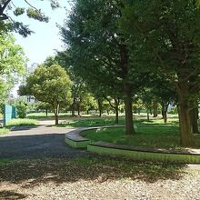 緑の多い公園です