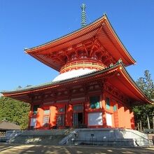 鮮やかな色彩と大きさに圧倒されました