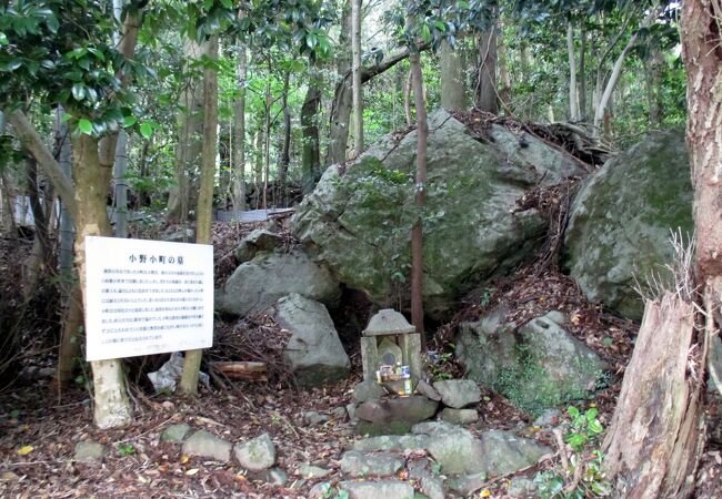 小野小町の墓というところに初めてお参りしました。