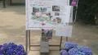 筥崎宮の奥にあります