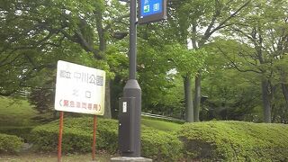 中川に近い公園