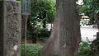 小さなおにぎり型