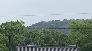 奉祝　国宝　八坂神社本殿