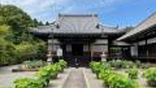 奥院から東塔、西塔の両方が見えます