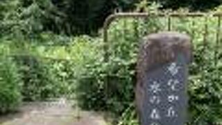 虫が多くいます