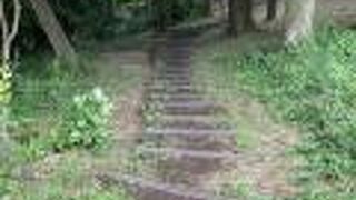 ジャングルのような公園です