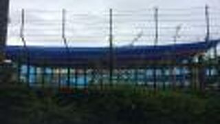 青年公園遊泳池