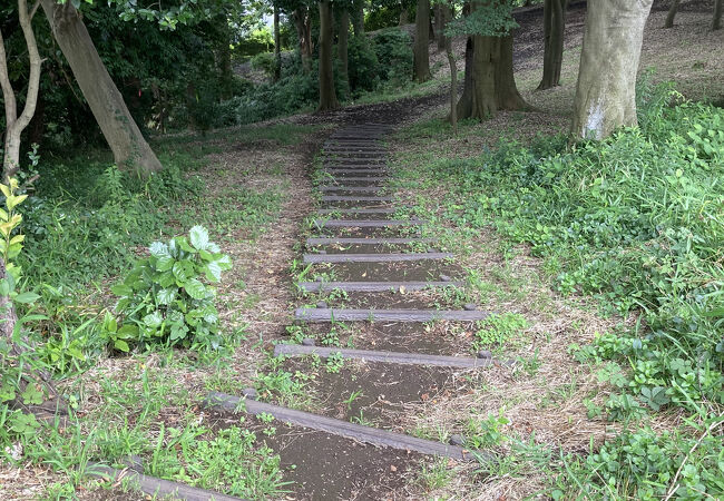 ジャングルのような公園です