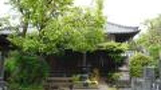 緑を分け入っていくような感じ