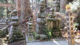 豊臣秀吉の墓所や織田信長の墓所も発見！