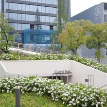 つつじの植え込みのあいだに入り口が。