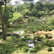 心落ち着く日本庭園