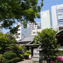 これが21世紀だね。