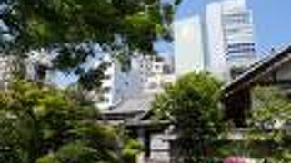 手入れの行き届いた庭から見える…