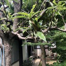 住めそうな感じ　何か色々置いてある