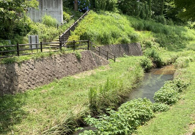 立派な公園になっています